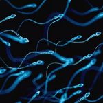 Saran Pakar buat yang Mau Lakukan Inseminasi Buatan